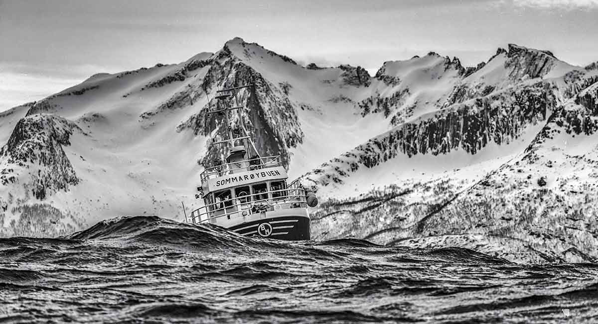 viking arctic fjord