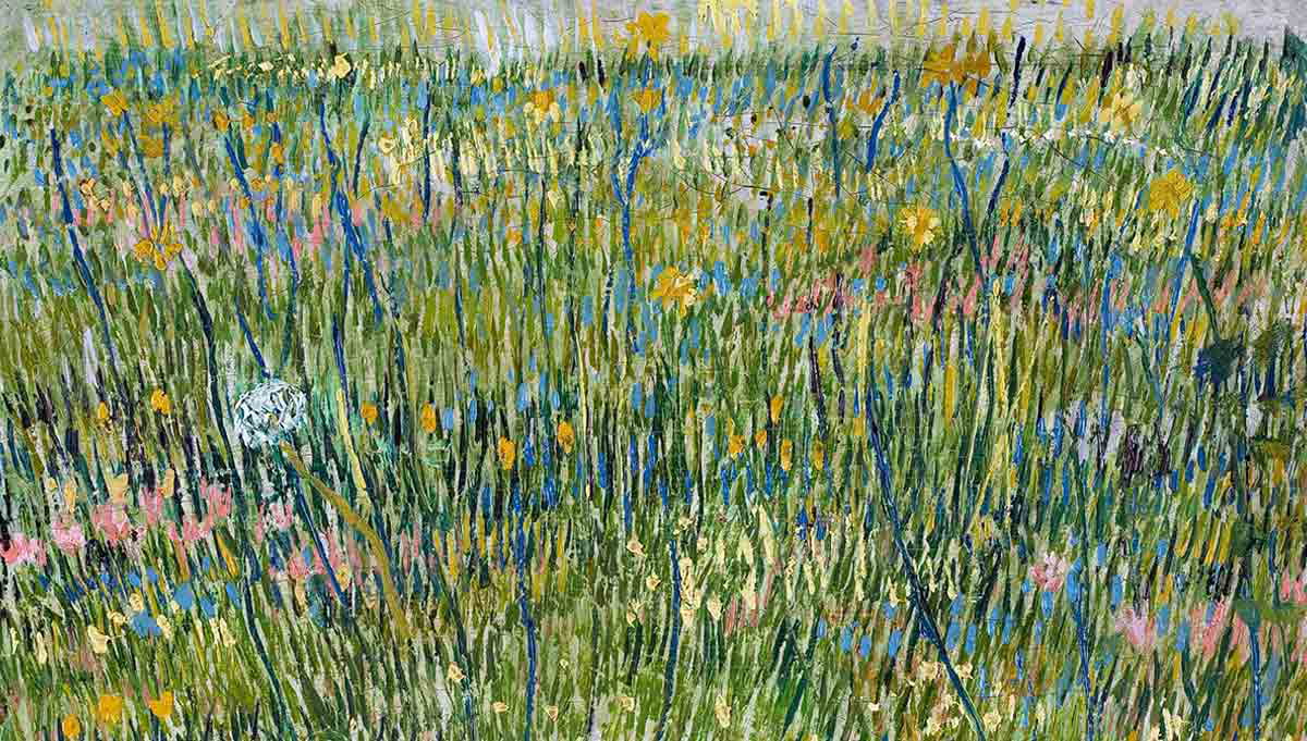 vincent van gogh patch grass