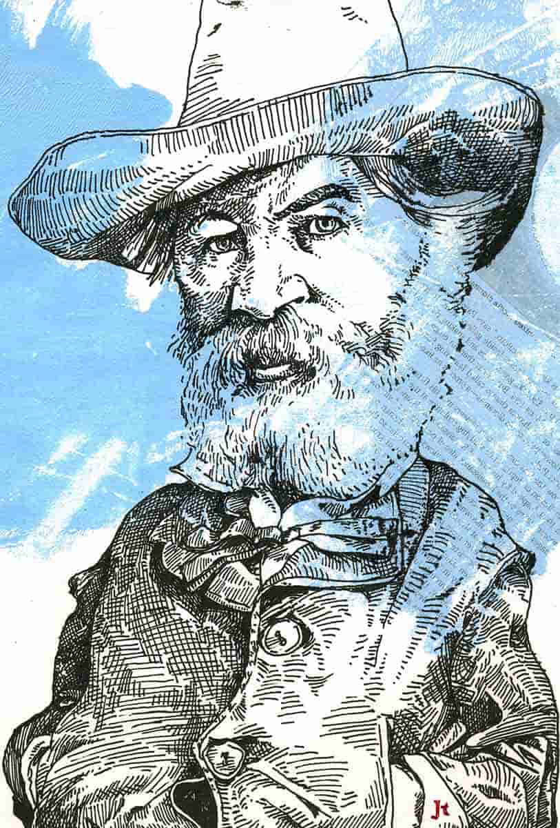 walt whitman illustration