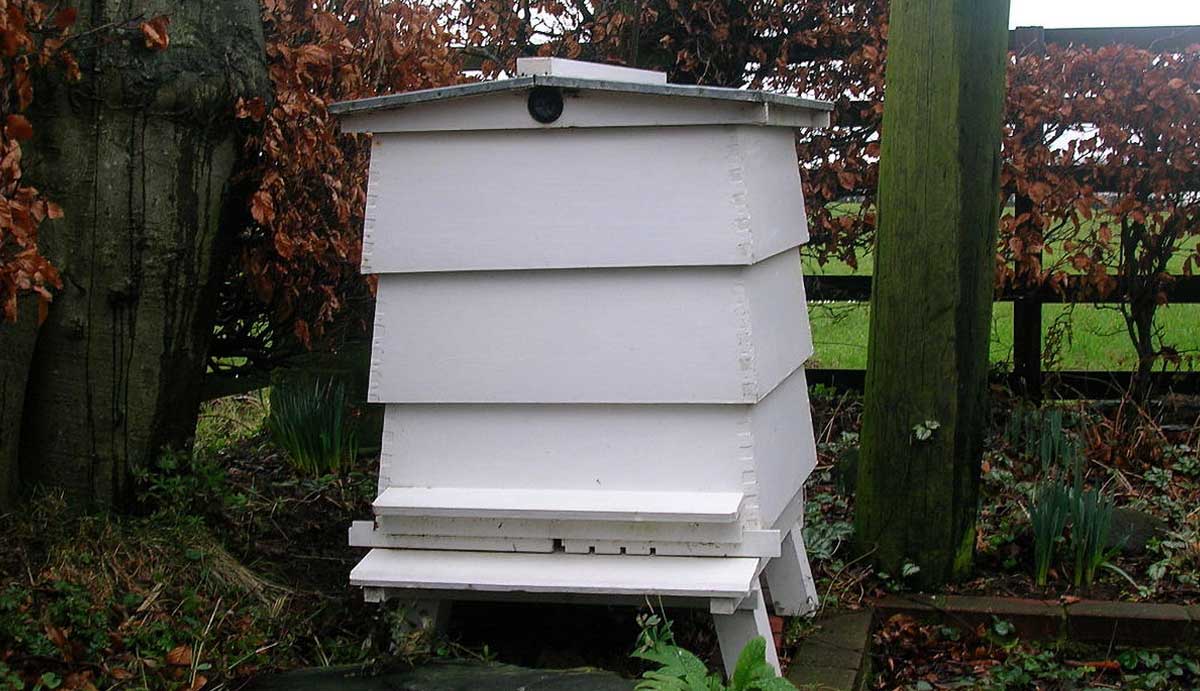 Beehive Mandeville Bernard