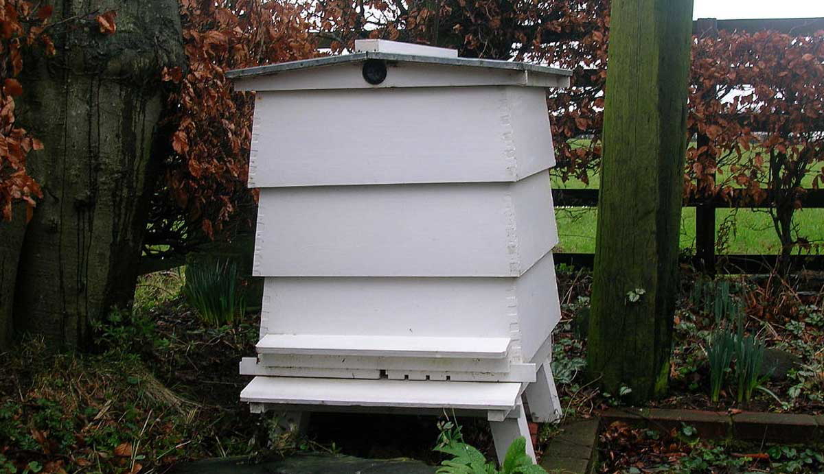 Beehive Mandeville Bernard