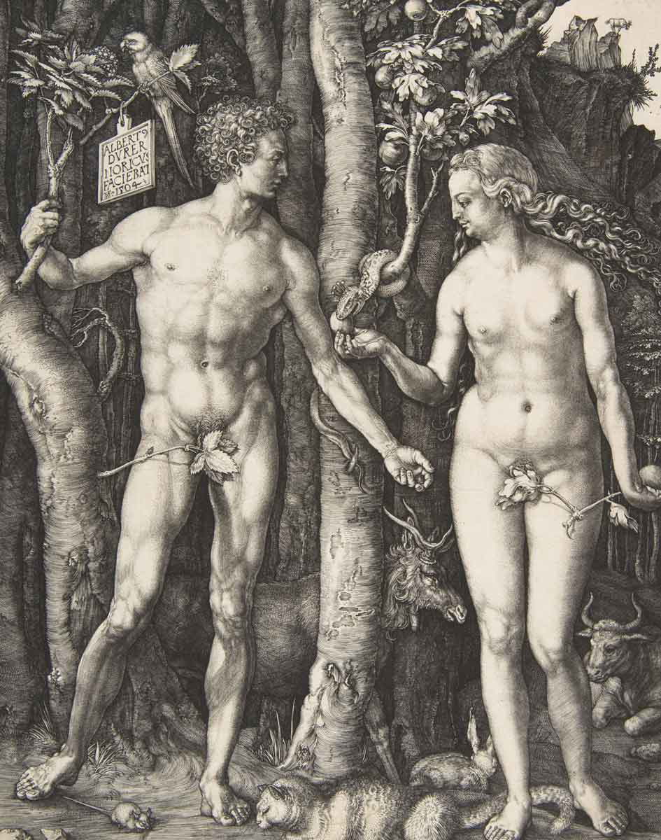 adam and eve durer