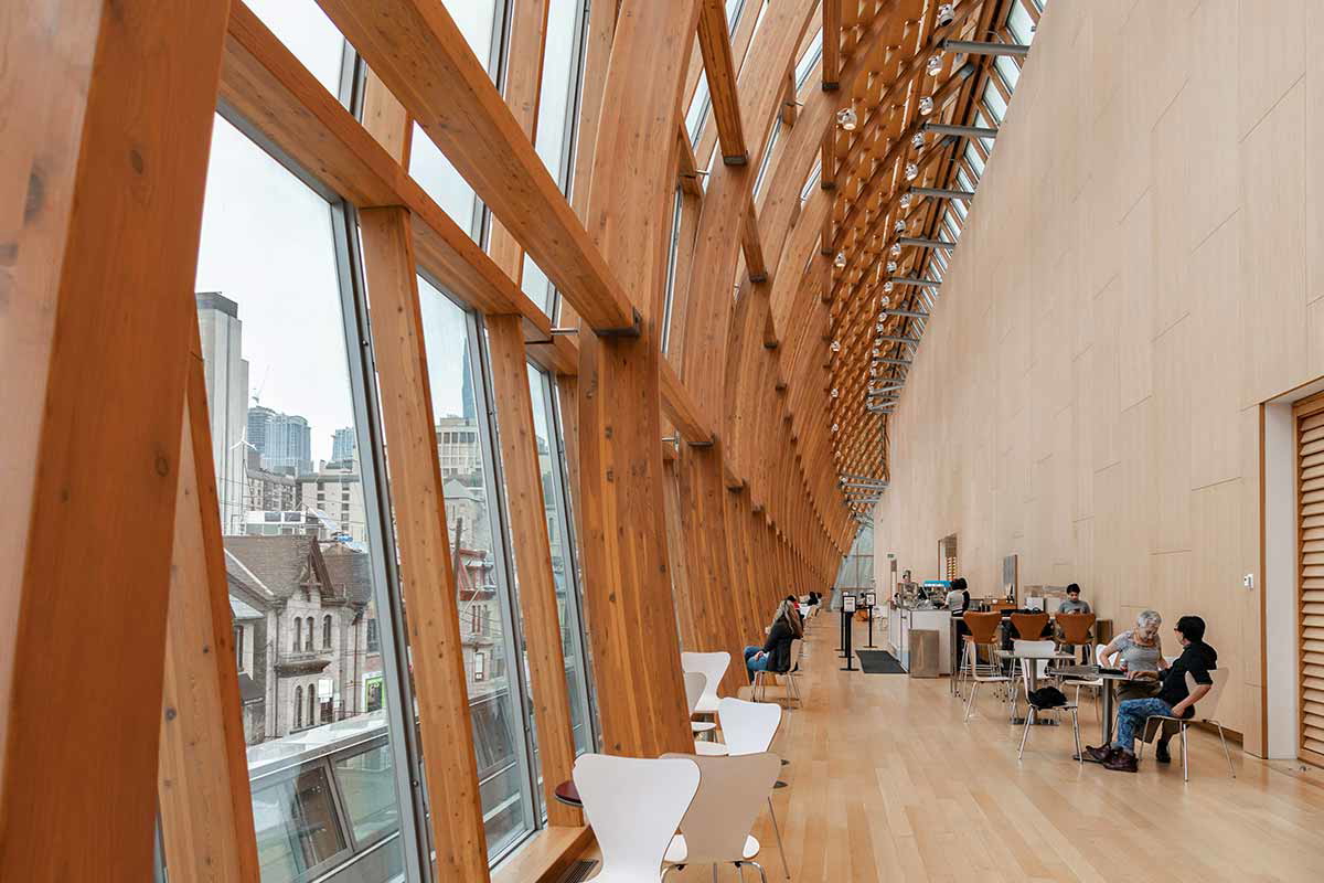 art gallery ontario canada cultural hegemony