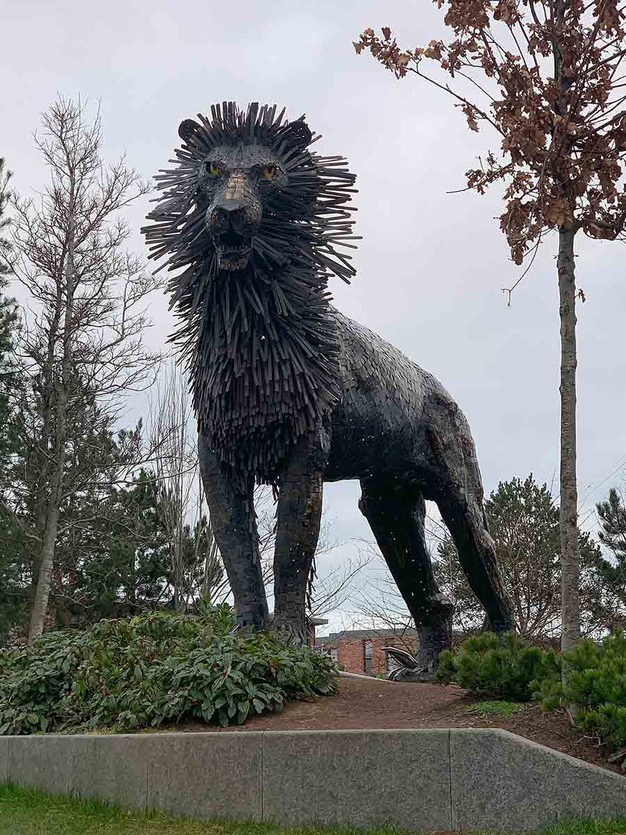 aslan belfast christmas literary character