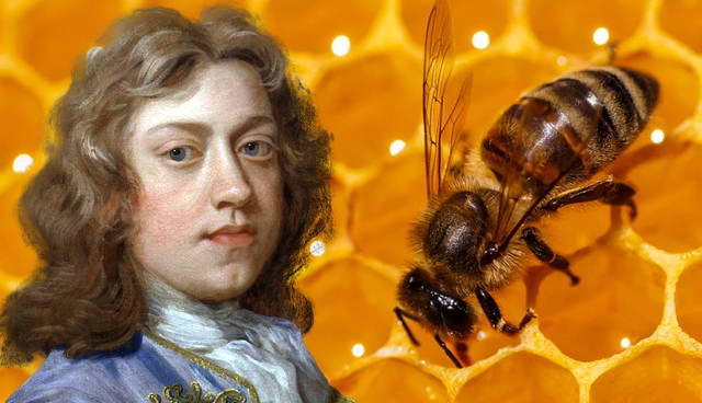 Portrait of young man beside honeybee