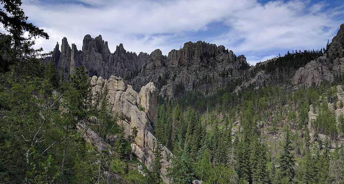 black hills from needles highway