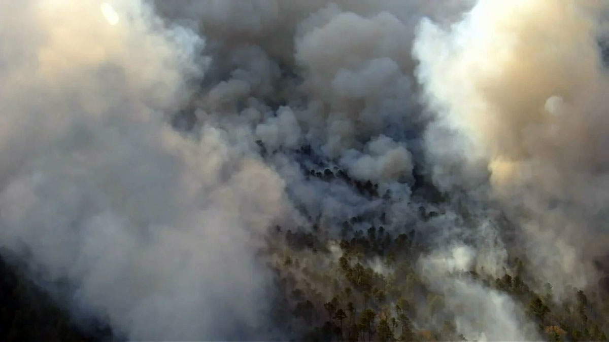 black run fire