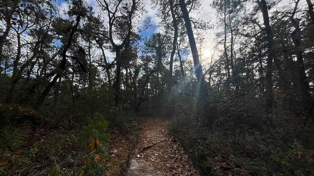 cedar run trail