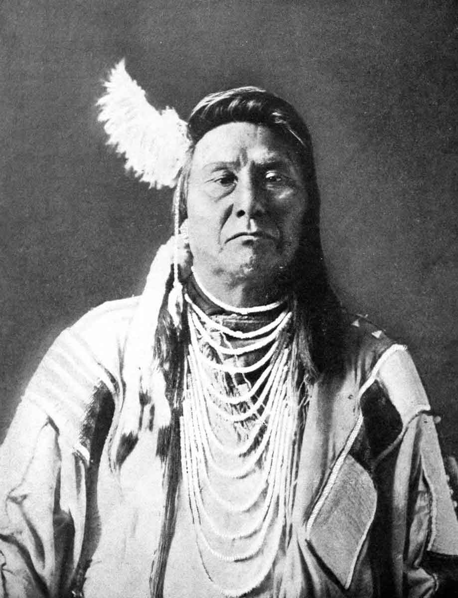 chief joseph the indian dispossessed
