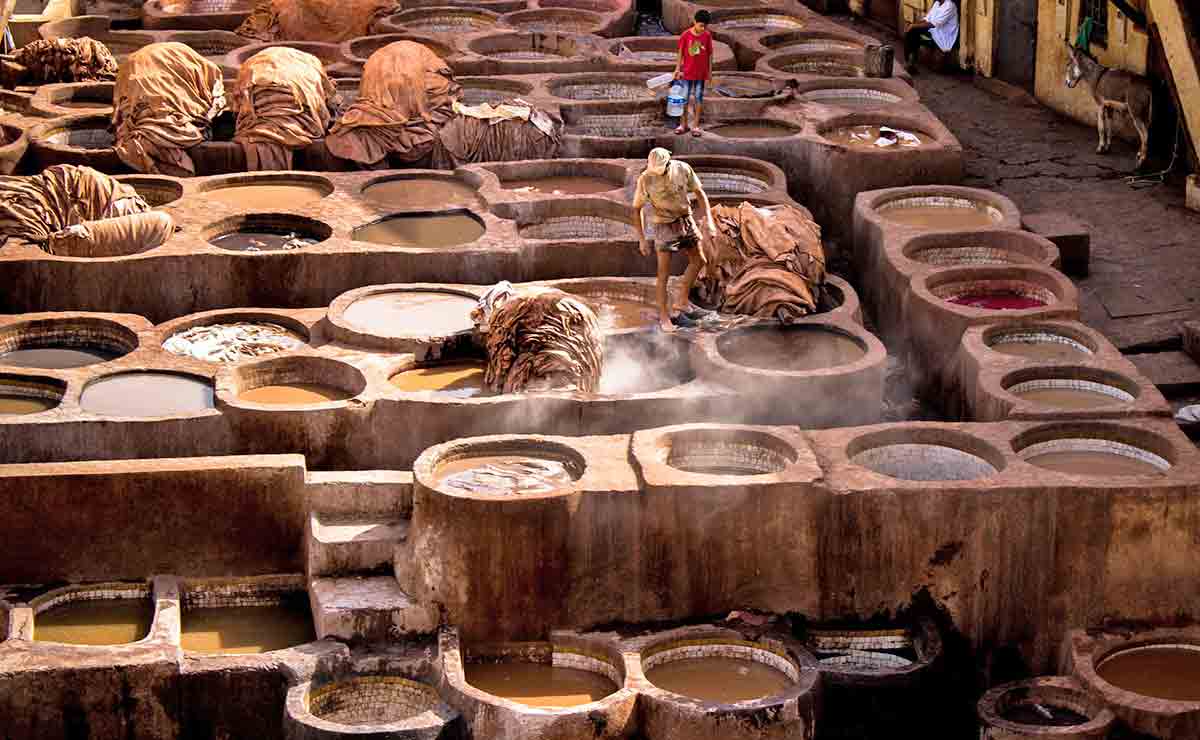 chouara tannery fez morocco