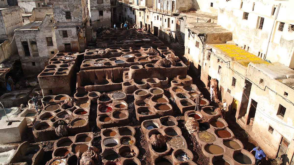 chouarra tannery fez morocco