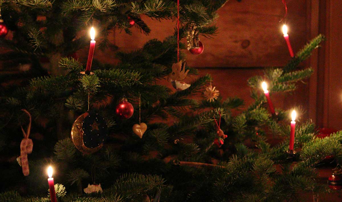 christmas tree