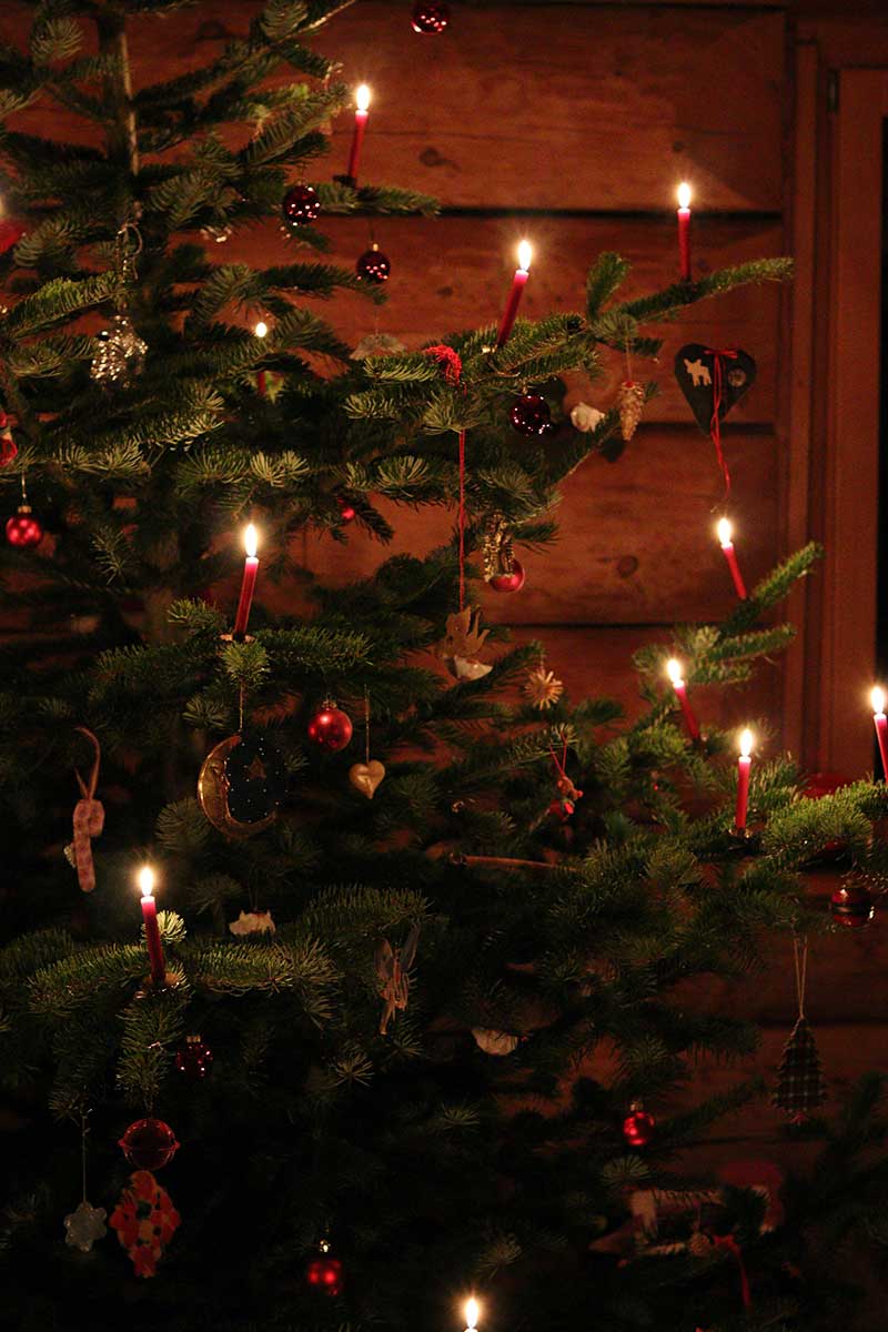 christmas tree