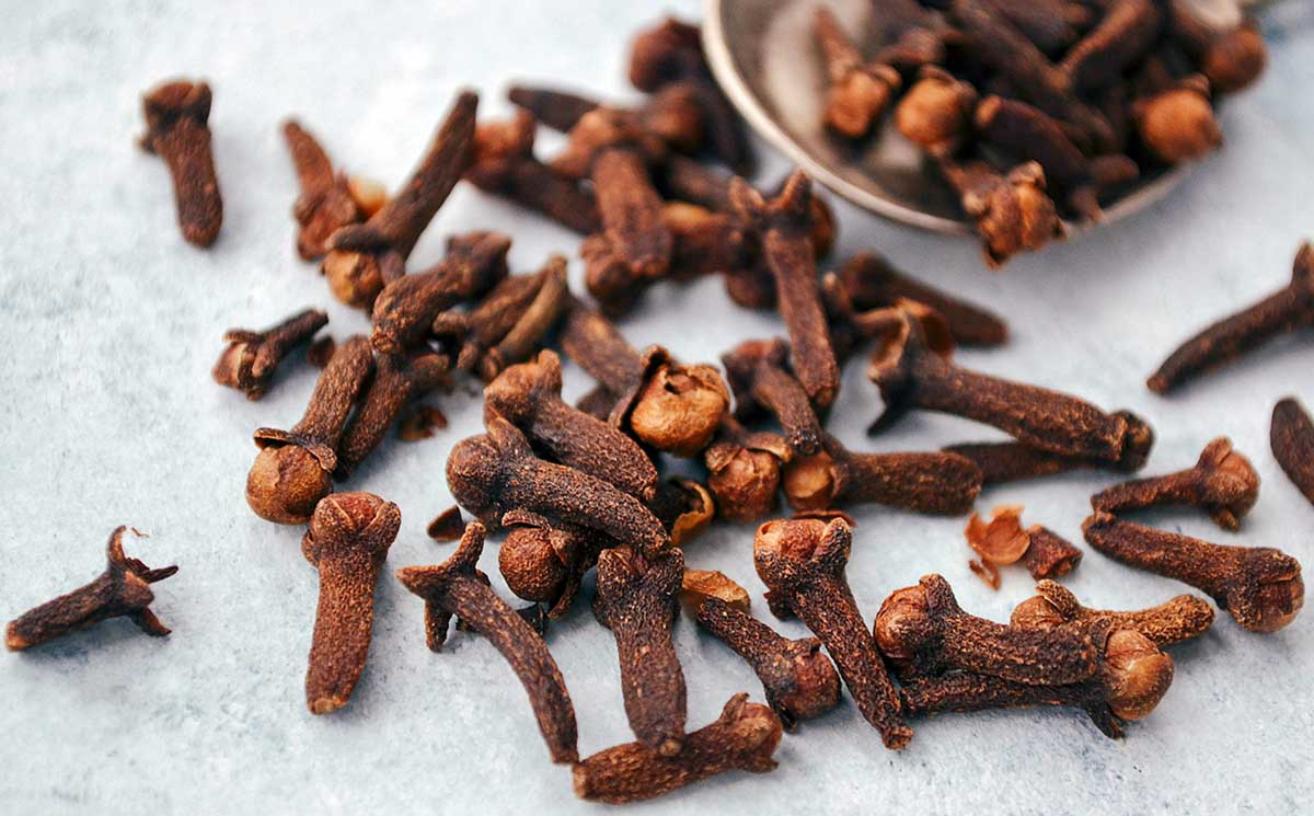 cloves on gray surface