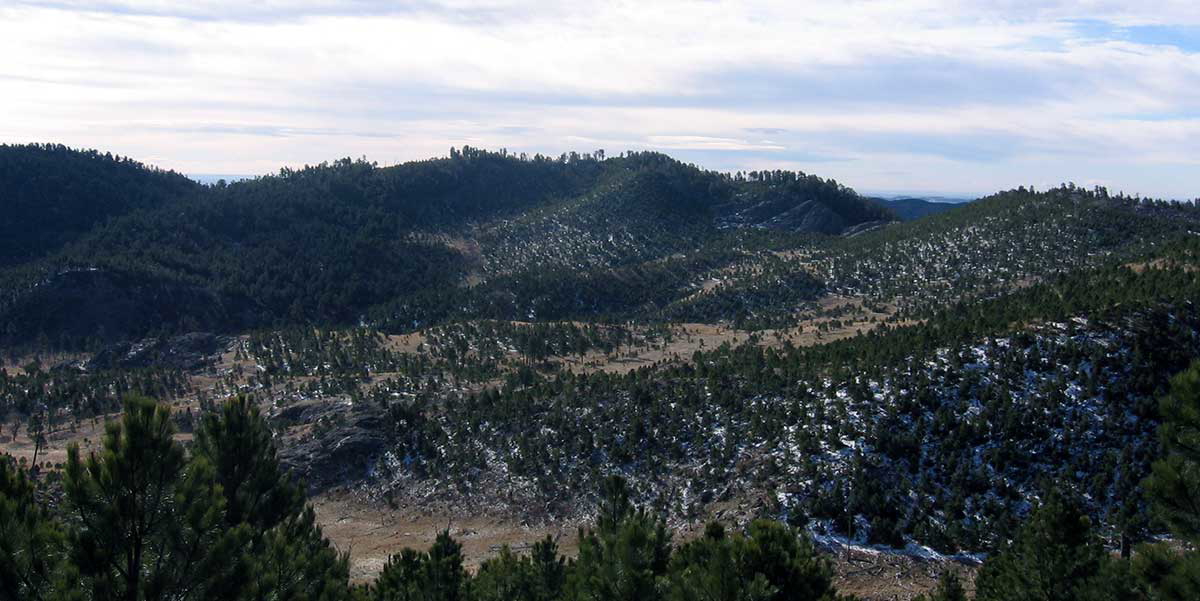 early spring view 2013