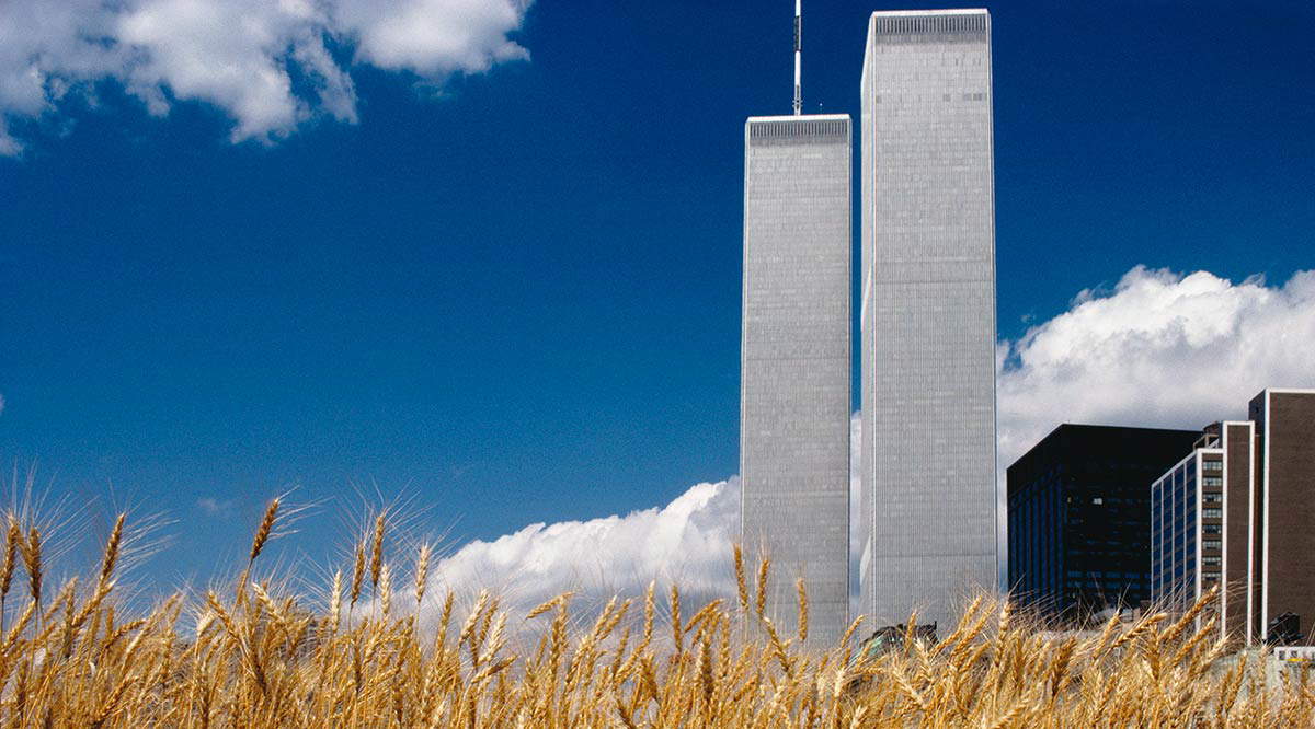 environmental art denes wheatfield photo