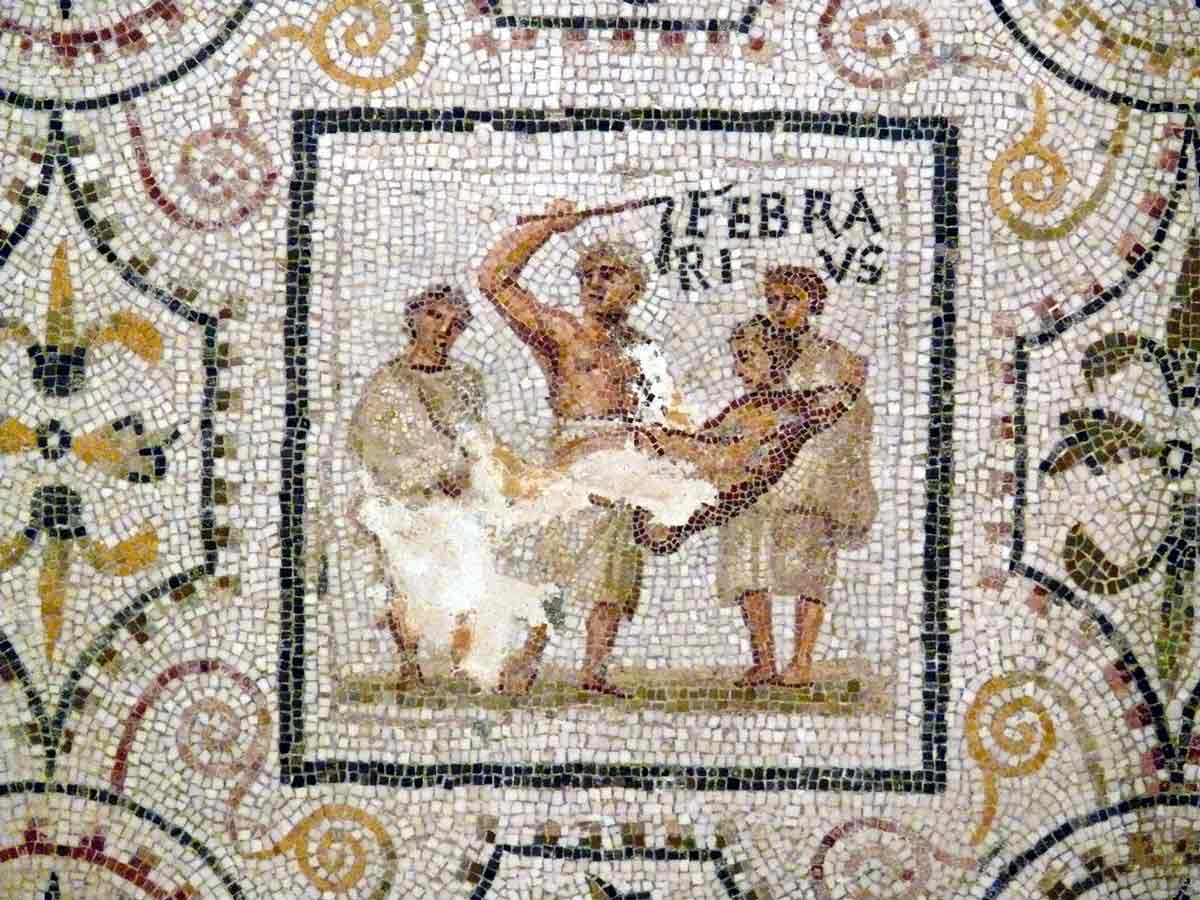 februa mosaic
