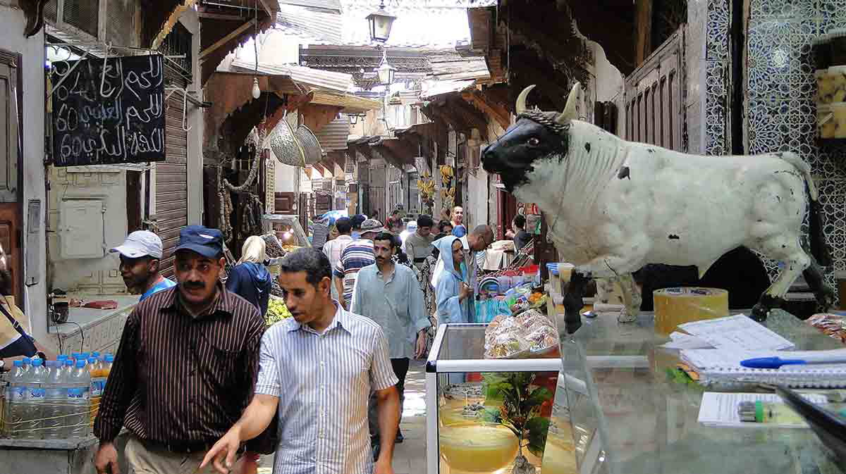 fez medina moroccoa
