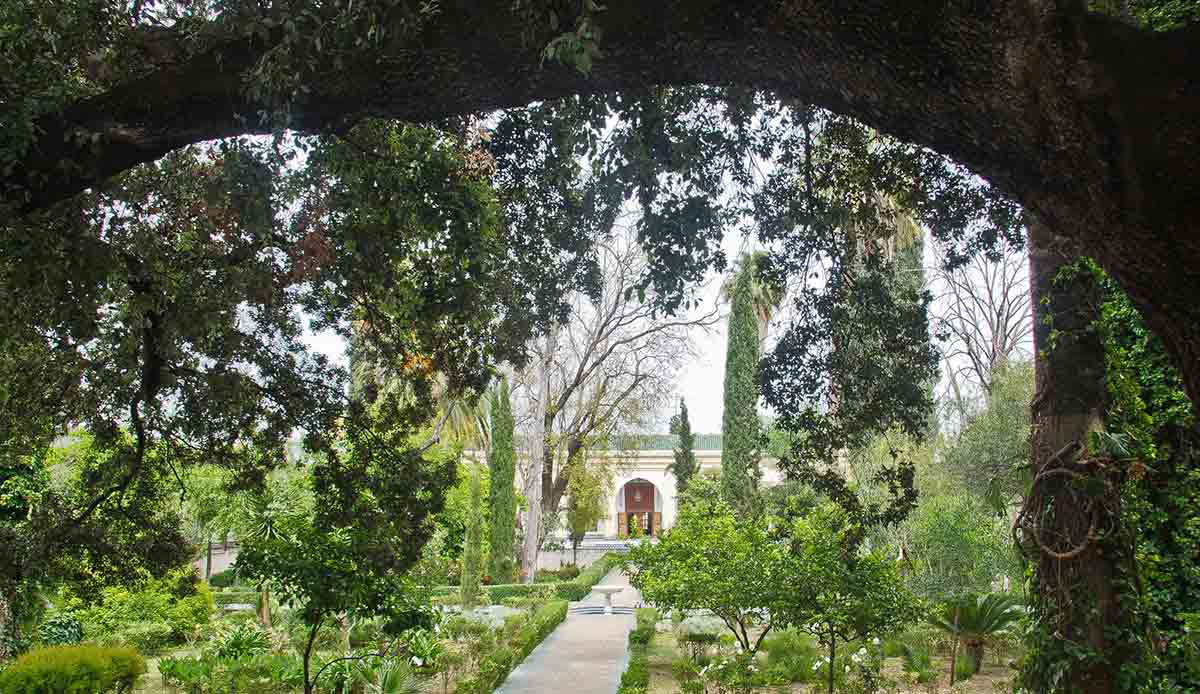 garden dar batha musem fez morocco