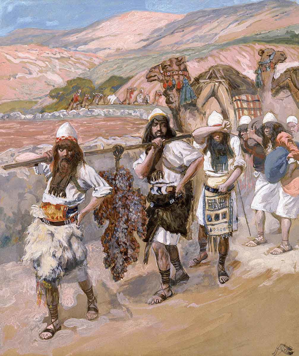 grapes of canaan book of numbers