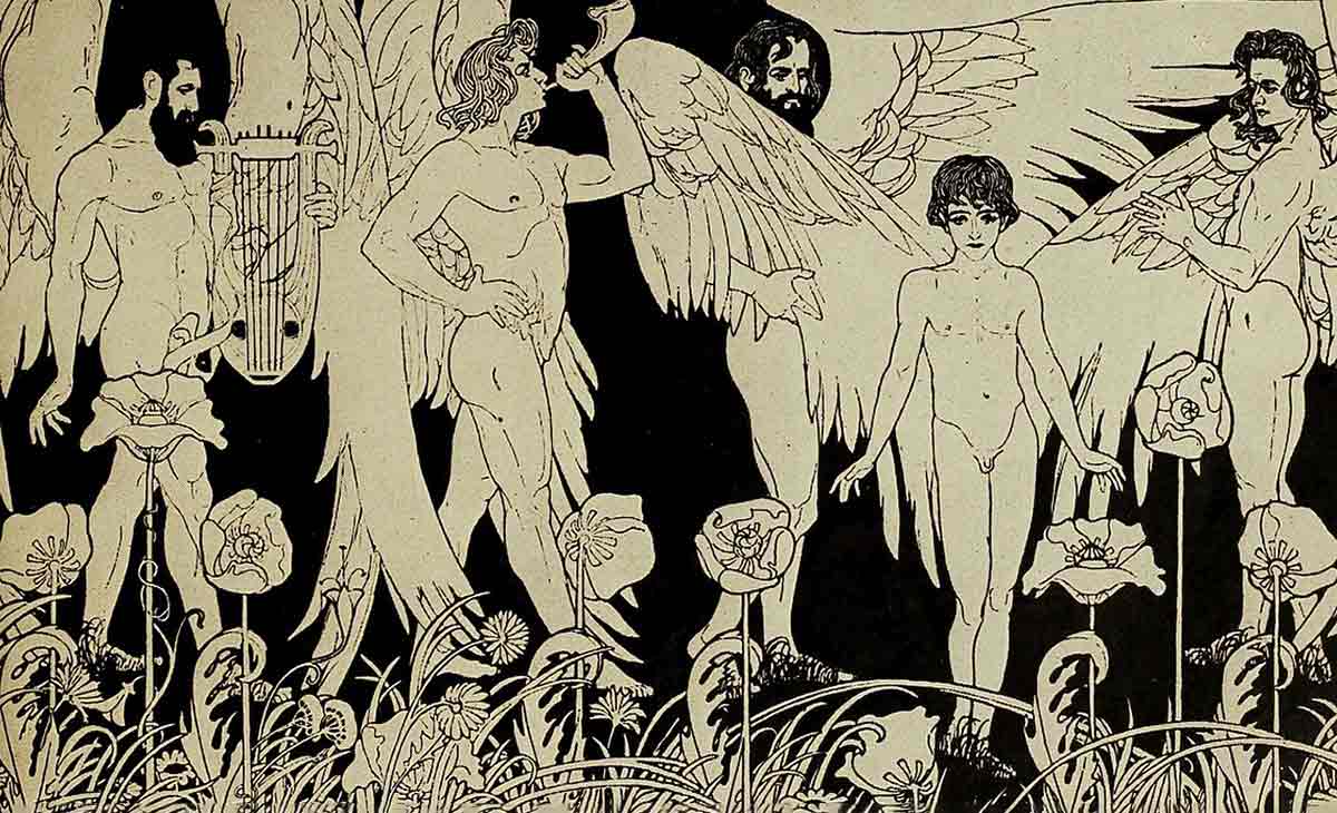 illustration of the creation