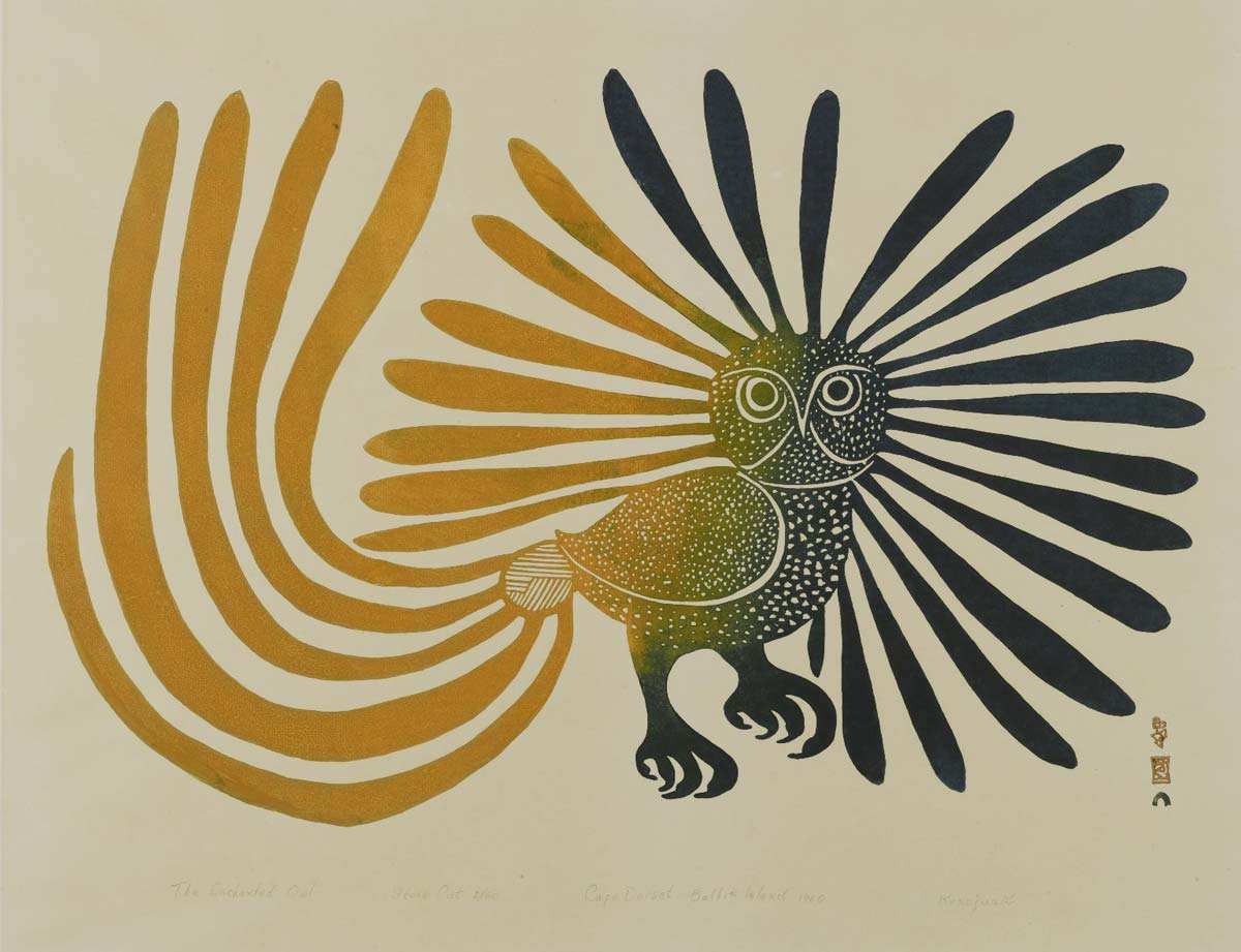 kenojuak ashevak owl inuit art
