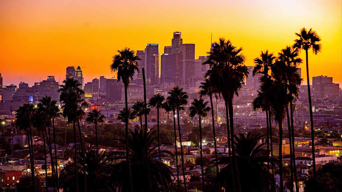 la skyline palms