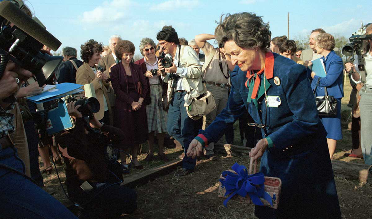 lady bird spreads seeds photo