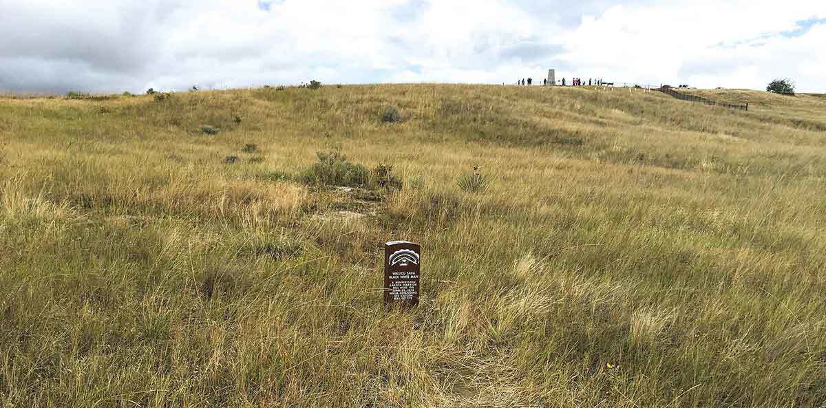 little bighorn grasy grass