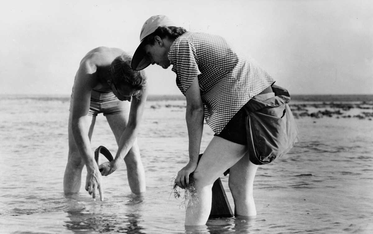 marine research with bob hines