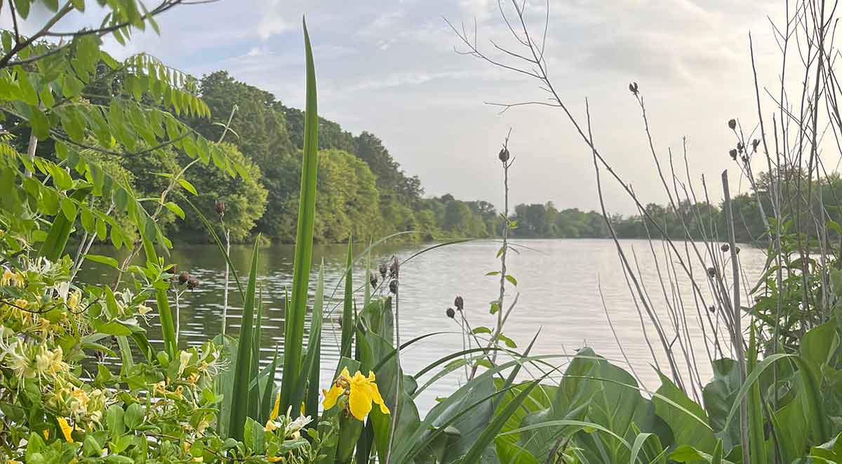 newton lake park