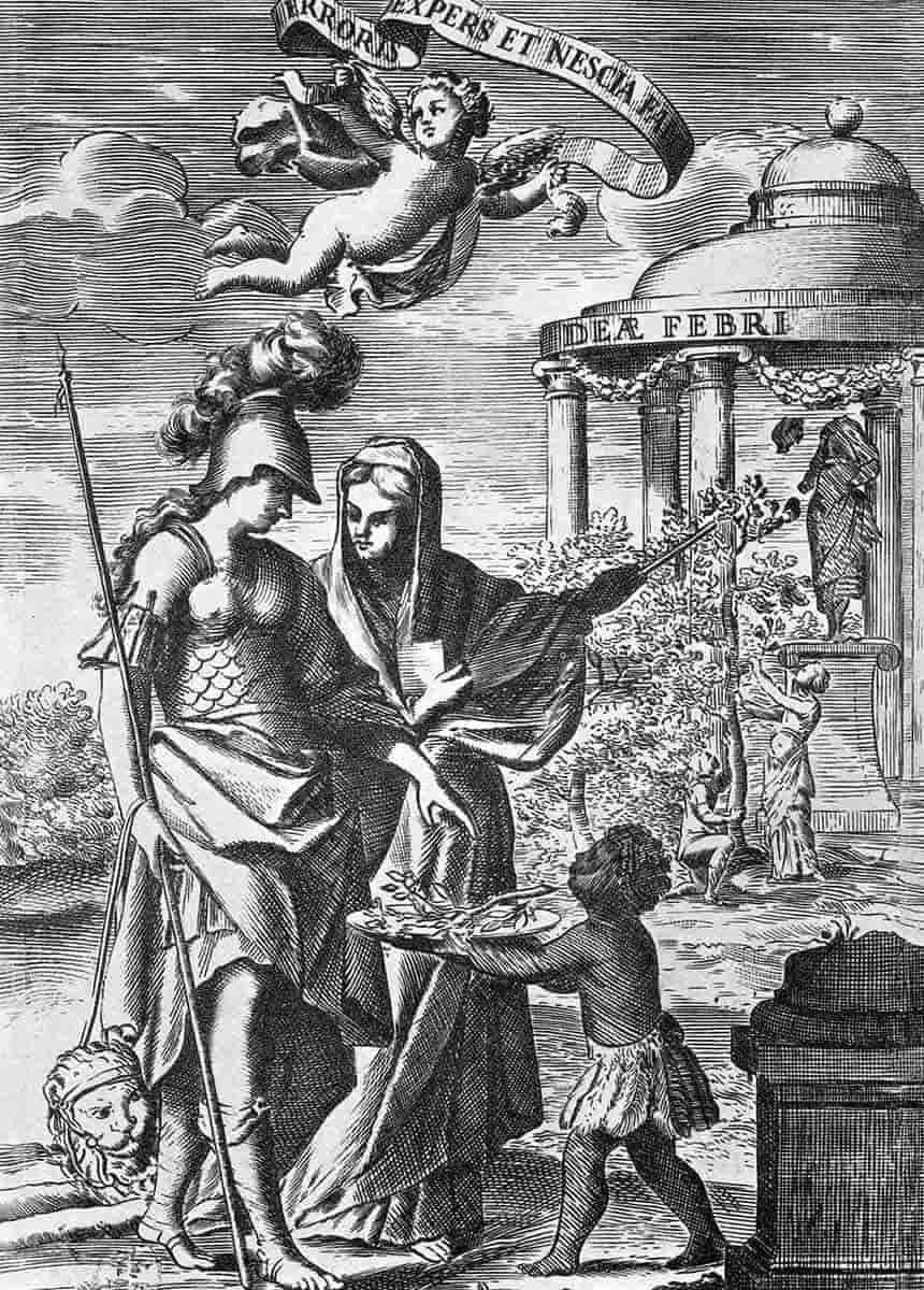 peru offers chinchona to science