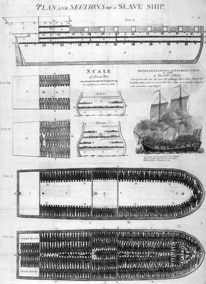 plan of slave ship