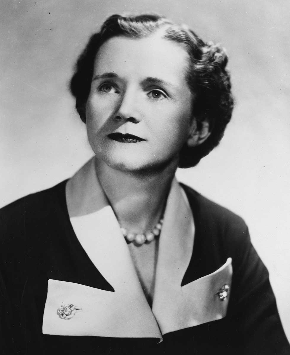 rachel carson black and white portrait