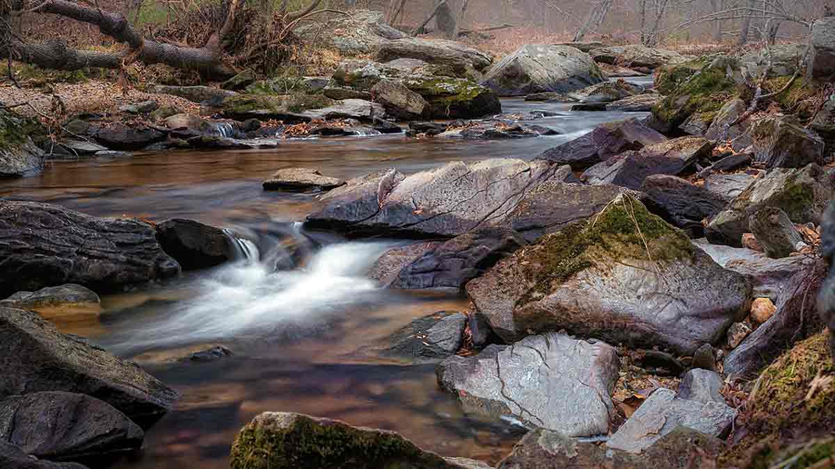 rachel carson conservation park md