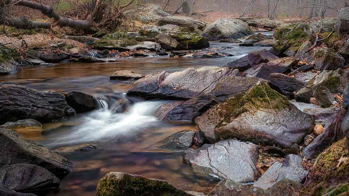 rachel carson conservation park md