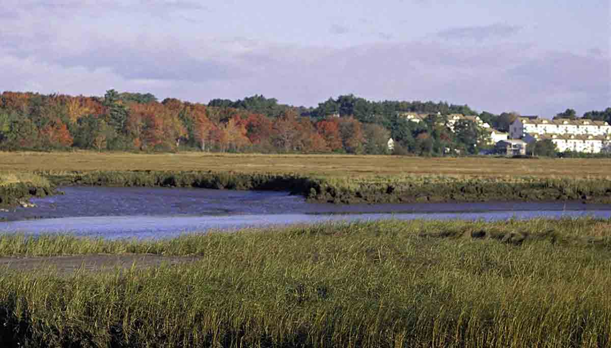 rachel carson wildlife refuge