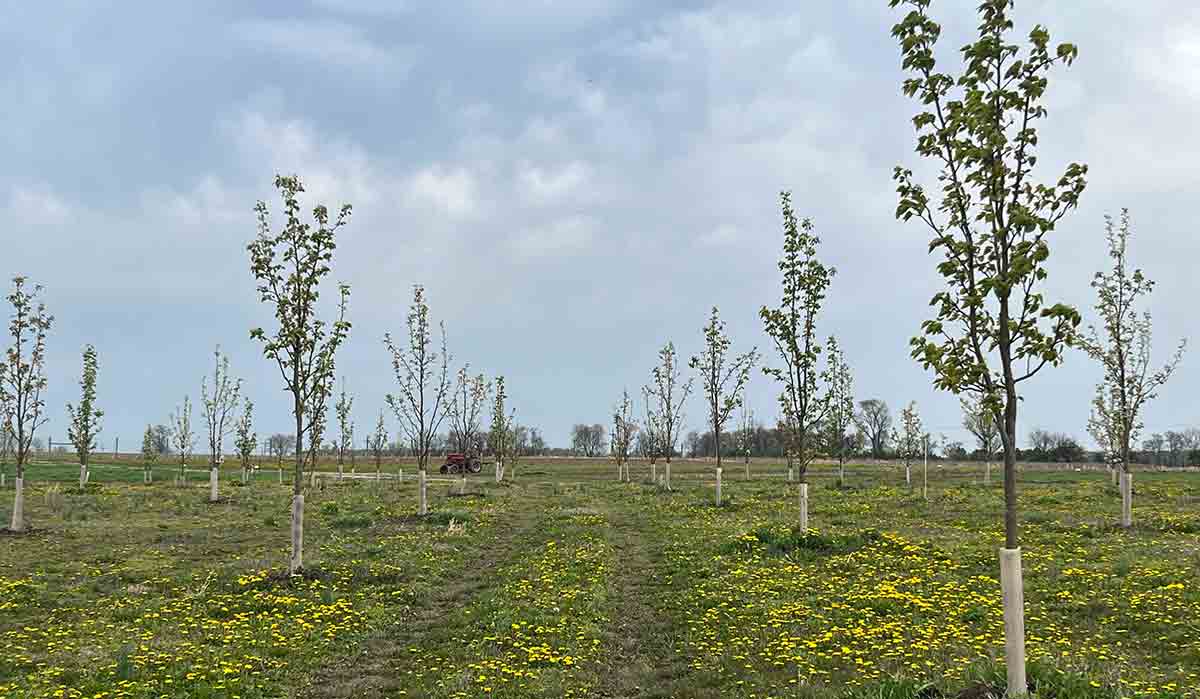 rancocas creek farm