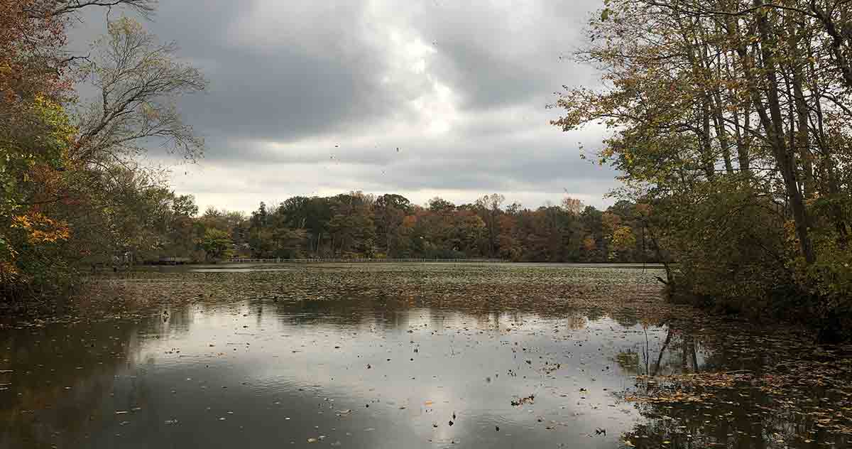 smiths woods lake