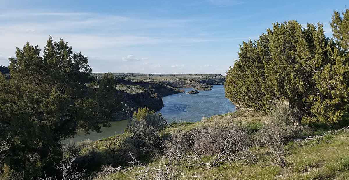 upper snake river view