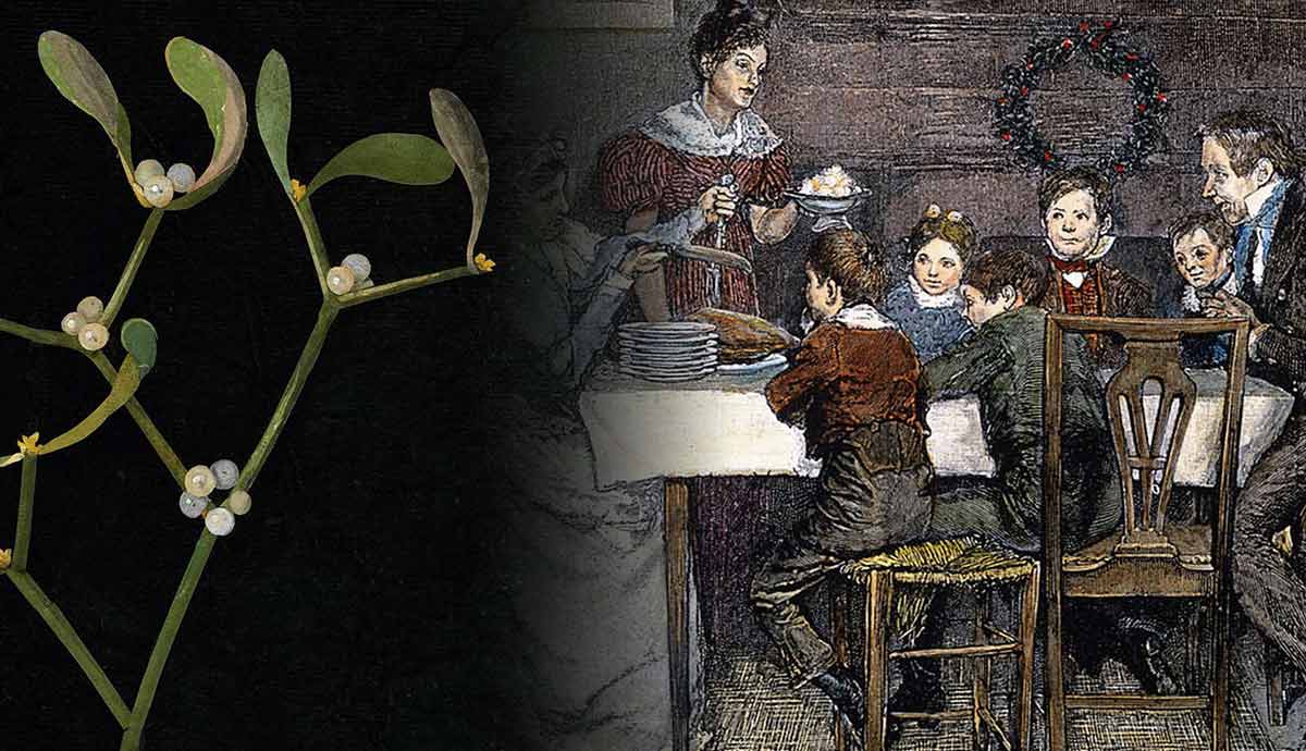 Mistletoe collage and Cratchit Christmas dinner