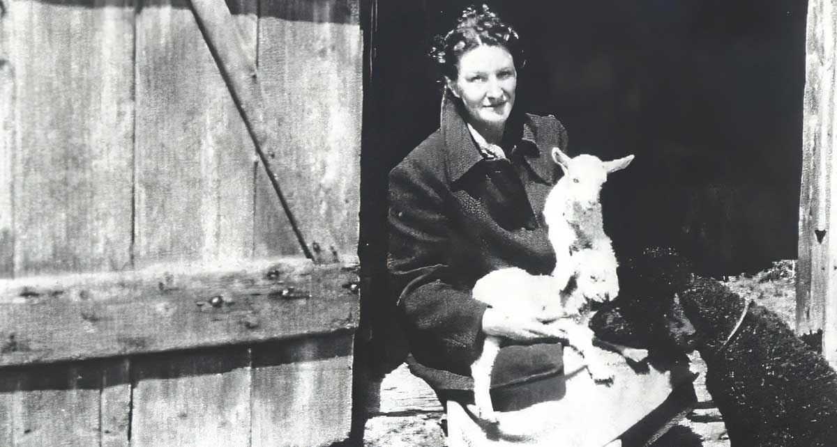virginia hall with lamb