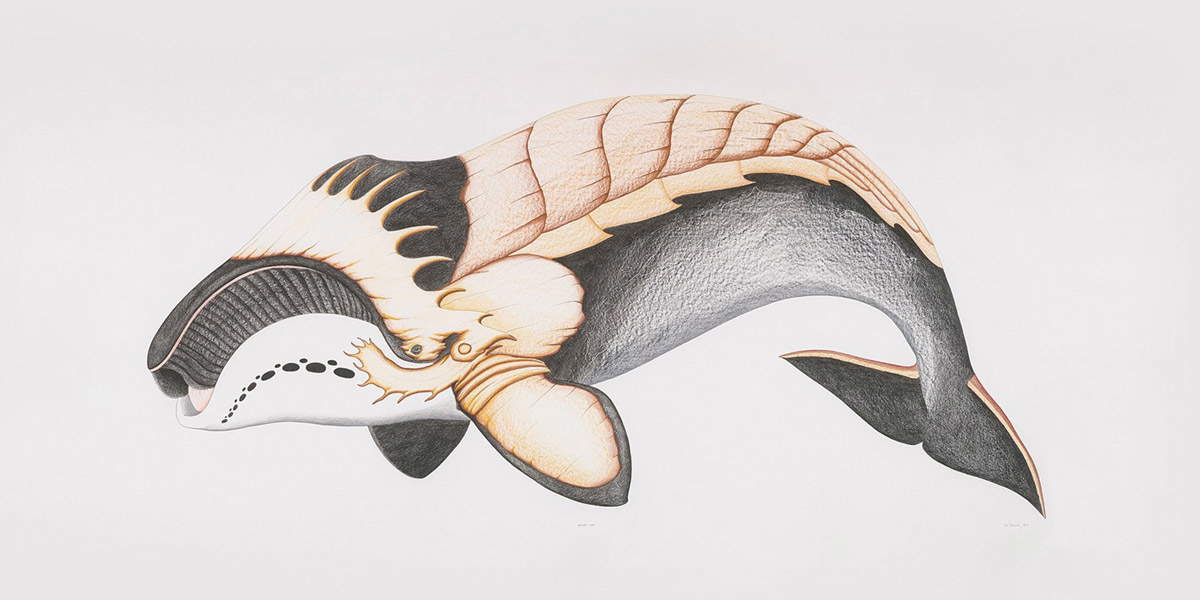 whale white backdrop inuit art
