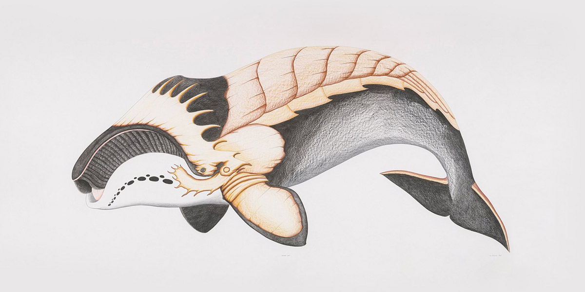 whale white backdrop inuit art