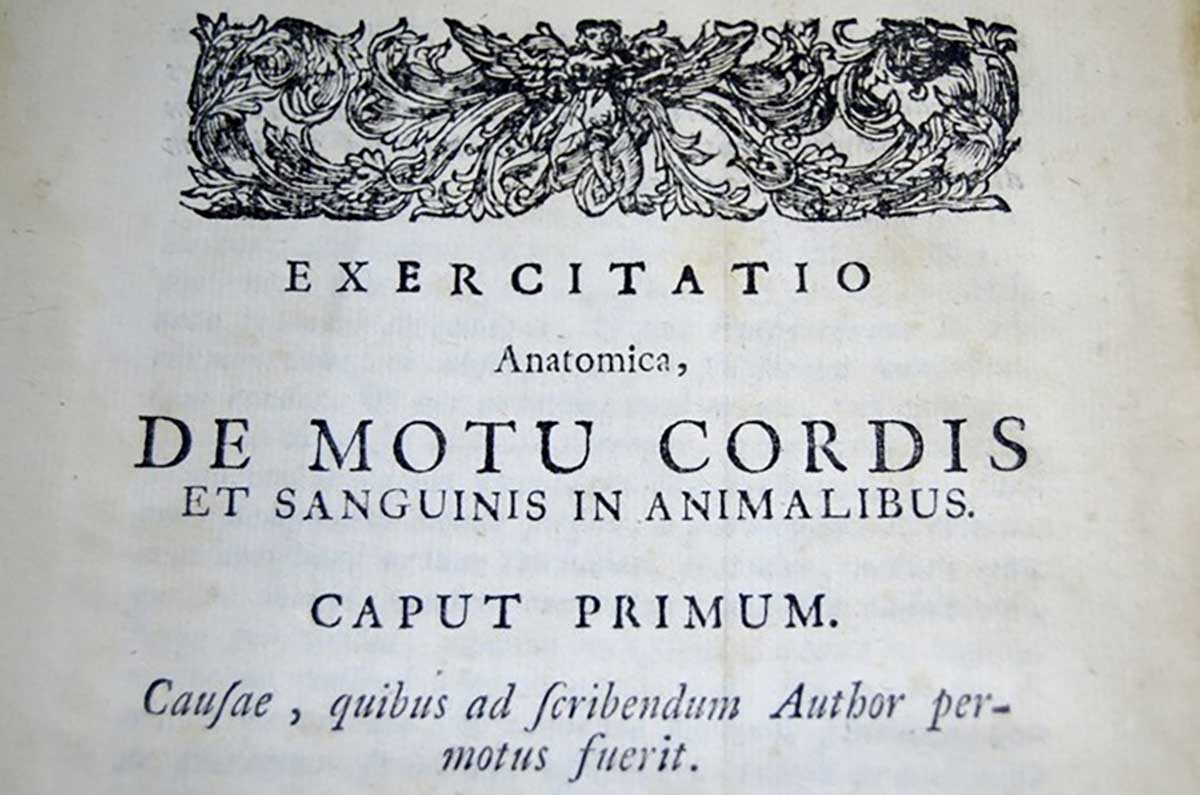 william harvey de motu cordis