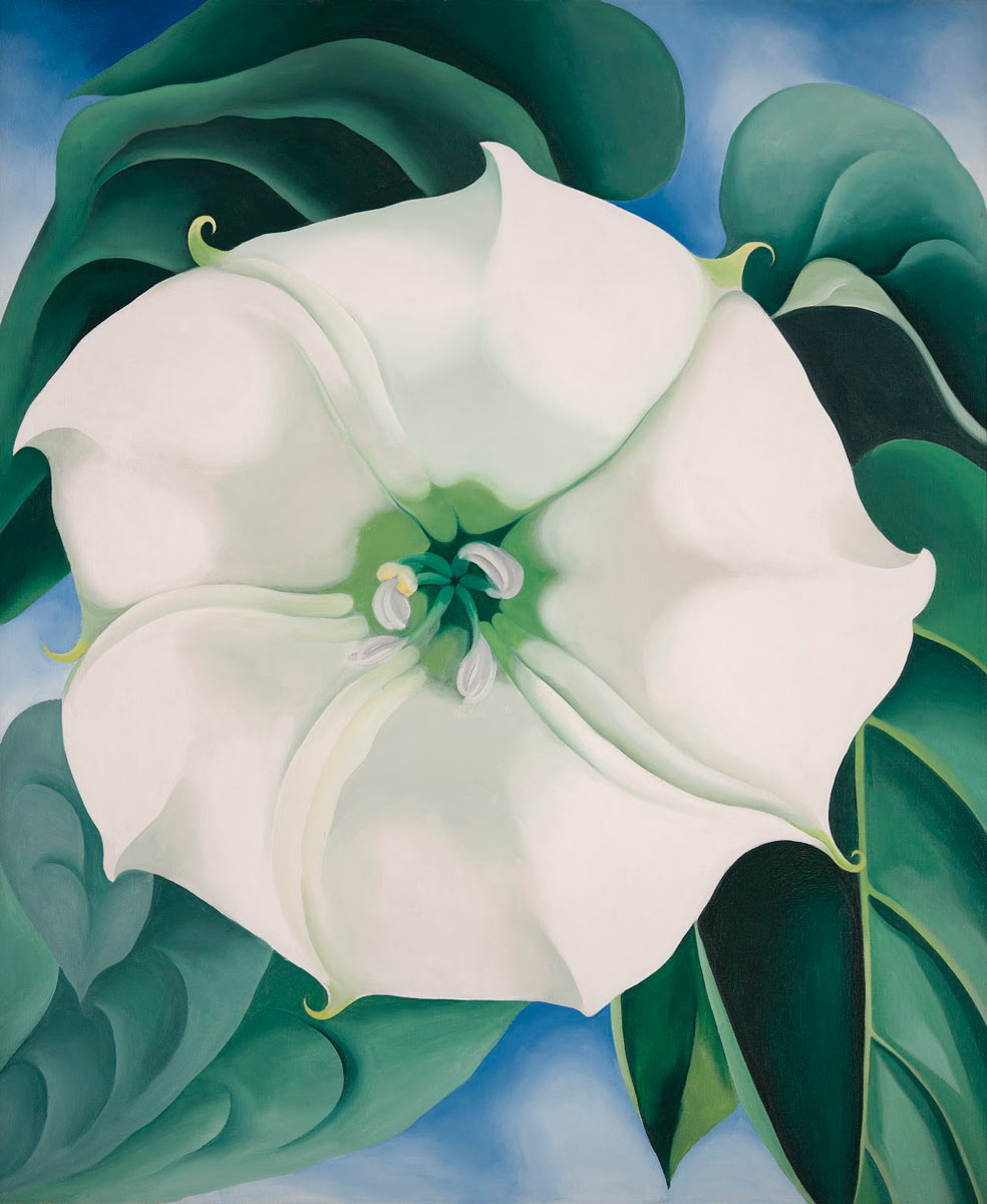 women artists okeeffe flower painting