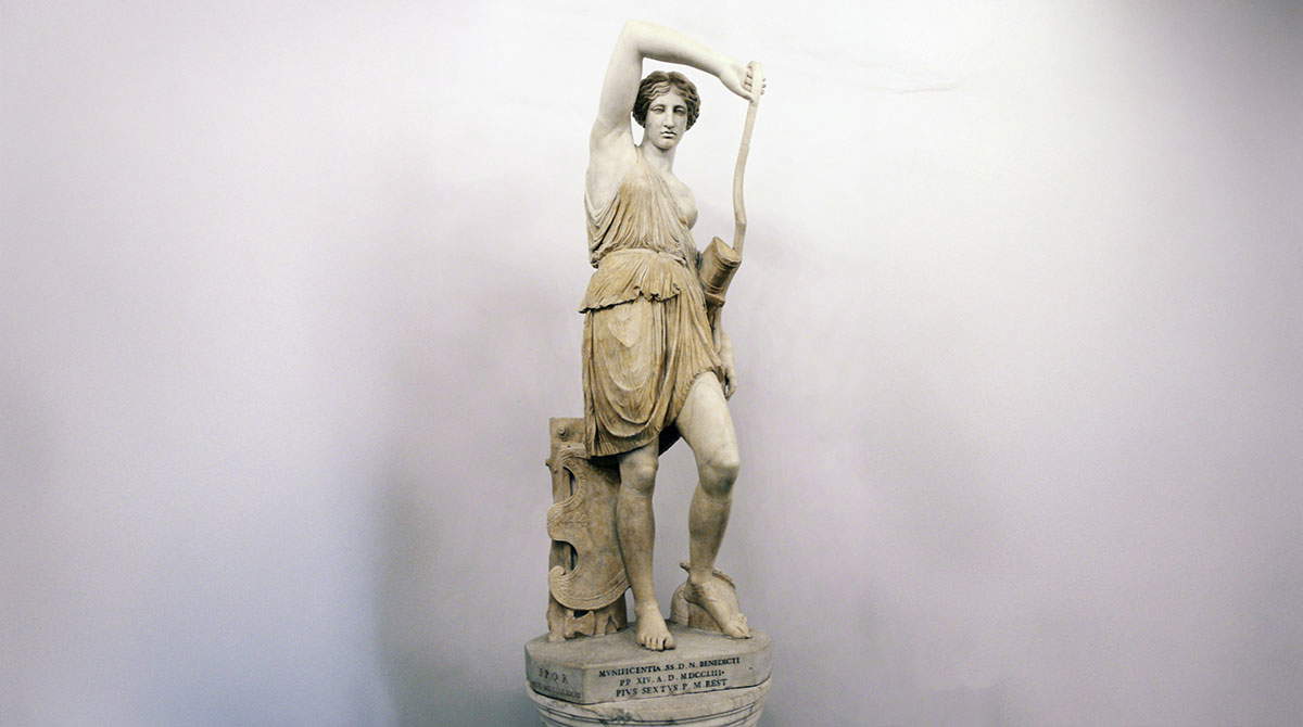 Amazon Gladiatrix
