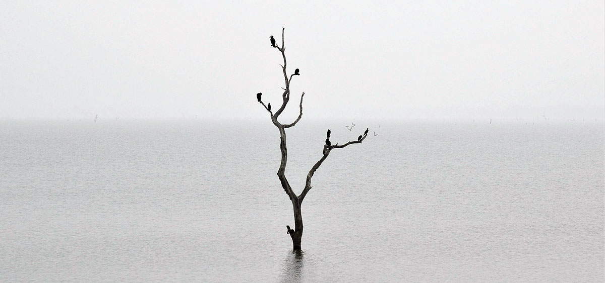 Faded grey melancholy