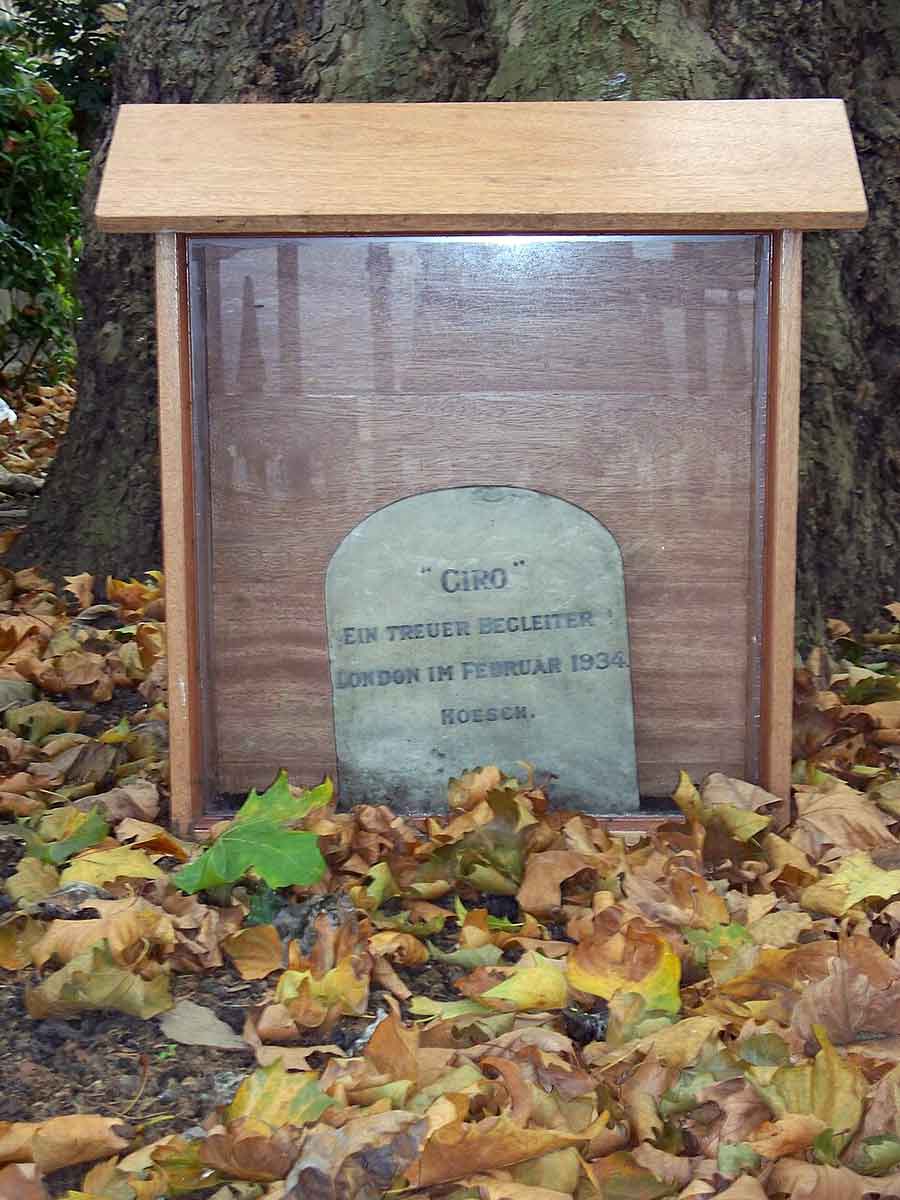 Giro dog grave