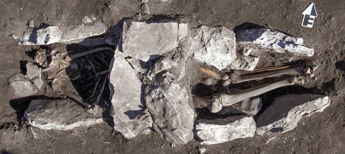 Skeleton Sanctuary Zeus Lykaion